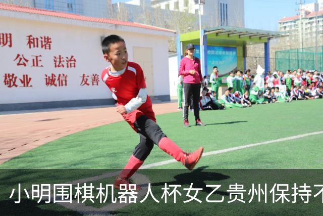 小明围棋机器人杯女乙贵州保持不败 内蒙古领跑丙组