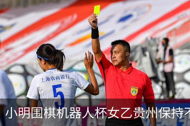 小明围棋机器人杯女乙贵州保持不败 内蒙古领跑丙组